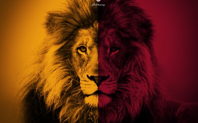 龙珠电竞精华-三笘薰让足球充满惊喜