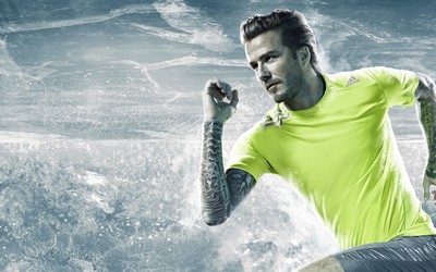 龙珠电竞焦点-伯贝任意球圆月弯刀